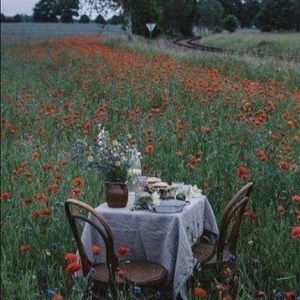 Meet your Posher, Sara mae